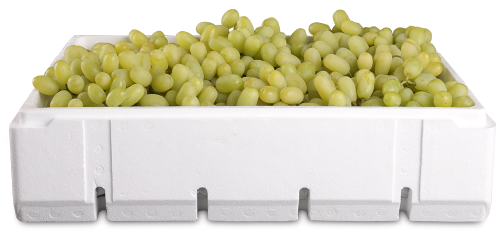 AndPak - Packaging