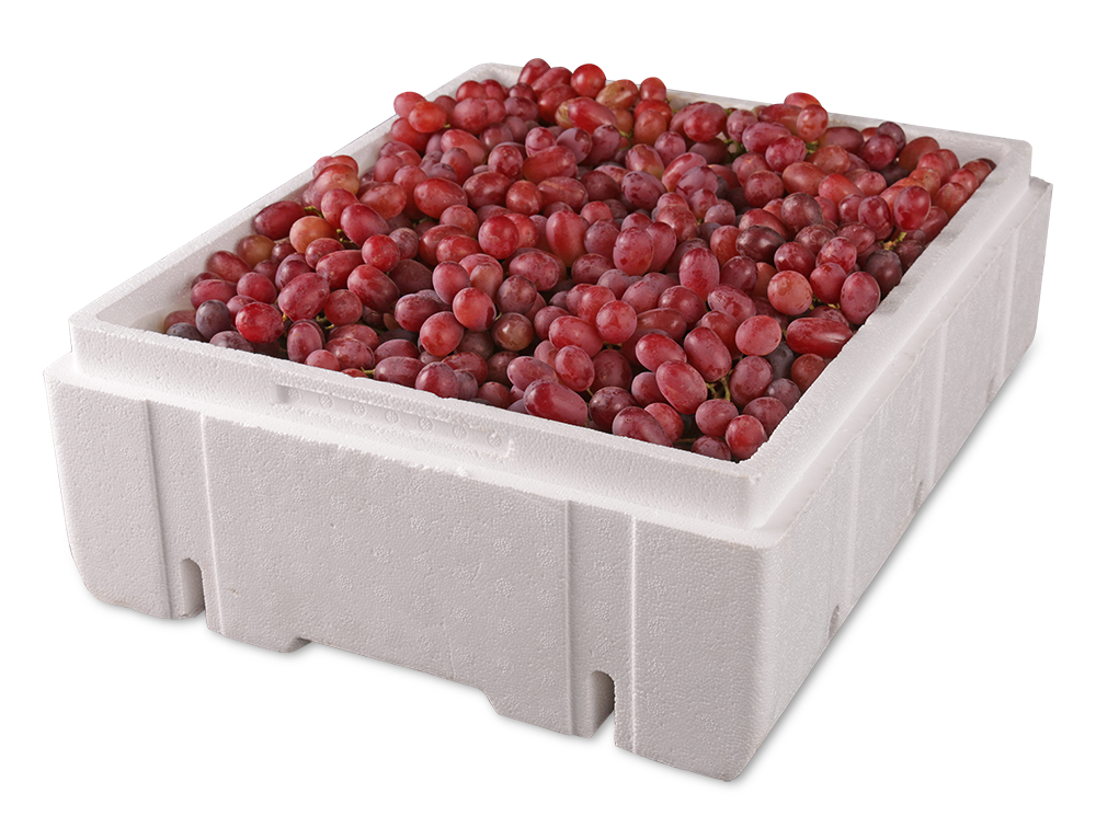 AndPak - Packaging